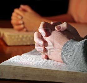 3102871-para-praying-z-bibles[1]